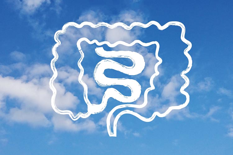 大腸カメラのイメージ写真