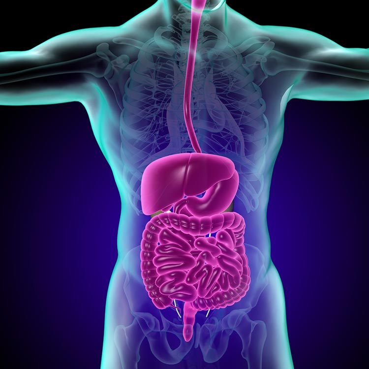 消化器内科のイメージ写真